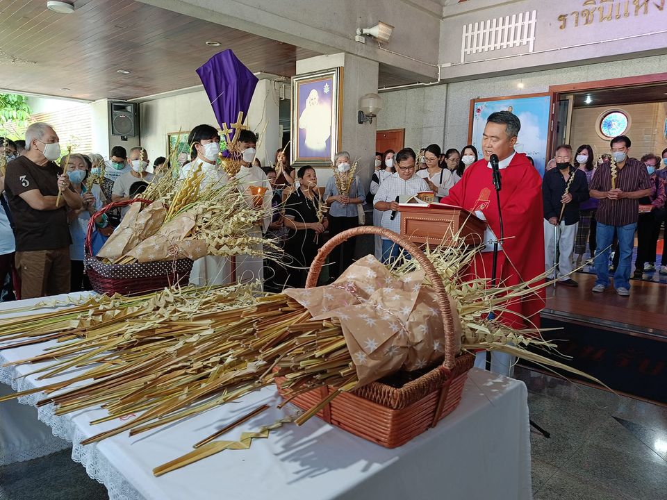 อาทิตย์ใบลานวัดราชินีแห่งสันติสุข